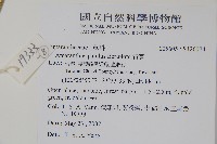 青莧藏品圖，第12張