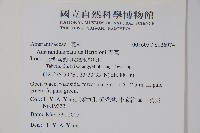 青莧藏品圖，第14張