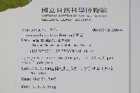 青莧藏品圖，第16張