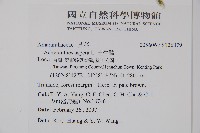 土牛膝藏品圖，第2張