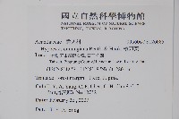 槍刀菜藏品圖，第2張