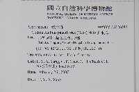 針刺草藏品圖，第2張