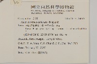 臺灣馬蘭藏品圖，第2張