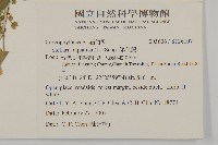 鵝兒腸藏品圖，第2張