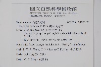 裂葉秋海棠藏品圖，第2張