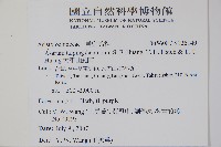 太平山細辛藏品圖，第2張