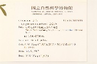 絲綿草藏品圖，第2張