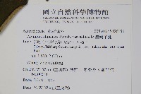 臺灣羊桃藏品圖，第2張