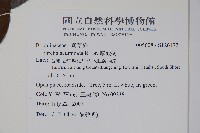 厚殼樹藏品圖，第2張