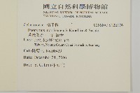 黃氏衛矛、玉山衛矛藏品圖，第2張