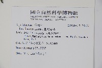 臺灣糊樗藏品圖，第2張