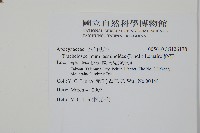 絡石藏品圖，第2張