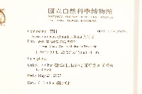 兔仔菜藏品圖，第2張