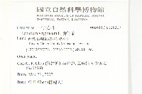 獨行菜藏品圖，第2張