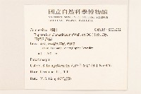 田代氏澤蘭藏品圖，第2張