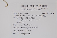 鷗蔓藏品圖，第2張