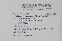 針刺草藏品圖，第2張