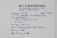 大錦蘭藏品圖，第2張