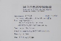 大錦蘭藏品圖，第2張