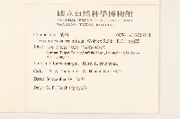 飛機草藏品圖，第2張