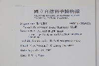 水鴨腳藏品圖，第2張