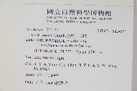 食用土當歸藏品圖，第2張