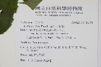 食用土當歸藏品圖，第4張