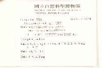 毛蓮菜藏品圖，第2張