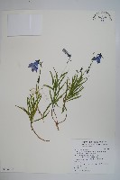 玉山水苦賈藏品圖，第1張