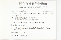 玉山筷子芥藏品圖，第2張