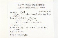 玉山筷子芥藏品圖，第2張