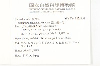 玉山佛甲草藏品圖，第2張