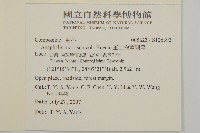玉山抱莖籟簫藏品圖，第2張
