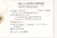 山芥菜藏品圖，第2張