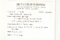 葶藶藏品圖，第2張