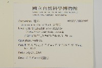 高山艾藏品圖，第2張