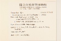 玉山薄雪草藏品圖，第2張