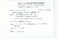 穗花佛甲草藏品圖，第2張