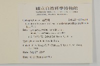 玉山卷耳藏品圖，第2張