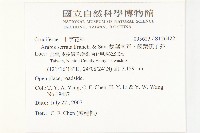 齒葉南芥、齒葉筷子芥藏品圖，第2張