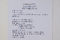 臺灣常春藤藏品圖，第2張