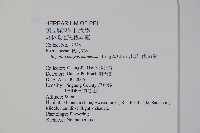 出雲山秋海棠藏品圖，第2張