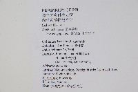 上花細辛藏品圖，第2張