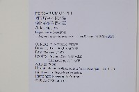 南台灣秋海棠藏品圖，第2張