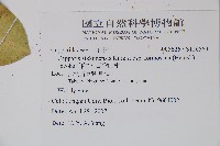 山柑、臺灣山柑藏品圖，第2張