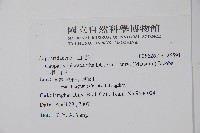 小刺山柑藏品圖，第2張