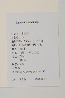 角菜、珍珠菜藏品圖，第2張