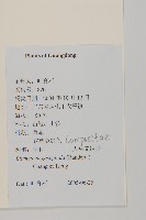 大頭艾納香藏品圖，第2張