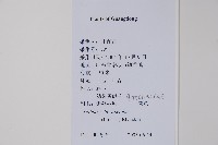 鷹爪花藏品圖，第2張