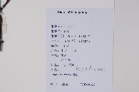 水東哥藏品圖，第2張